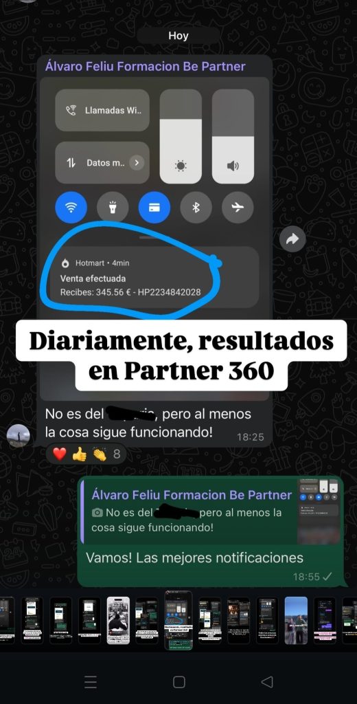 Opiniones de la formación partner 360